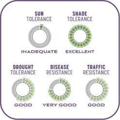 Pennington Smart Patch Dense Shade Mix Dog Lawn-Treatment & Grass Saver -PetSafe Kong Shop 763382 PT8. AC SS1800 V1674745040