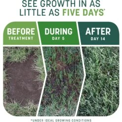 Pennington Smart Patch Sun & Shade Mix Dog Lawn-Treatment & Grass Saver -PetSafe Kong Shop 763398 PT2. AC SS1800 V1674745147