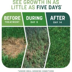 Pennington Smart Patch Tall Fescue Mix Dog Lawn-Treatment & Grass Saver -PetSafe Kong Shop 763422 PT2. AC SS1800 V1674769873