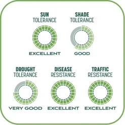 Pennington Smart Patch Tall Fescue Mix Dog Lawn-Treatment & Grass Saver -PetSafe Kong Shop 763422 PT8. AC SS1800 V1674745099