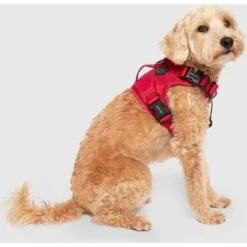 Canada Pooch Complete Control Dog Harness