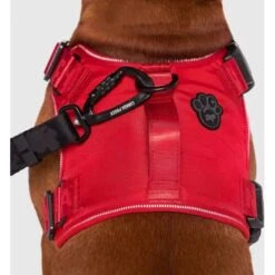 Canada Pooch Complete Control Dog Harness -PetSafe Kong Shop 764214 PT2. AC SS1800 V1679524700