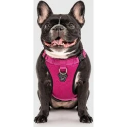 Canada Pooch Everything Dog Harness