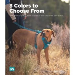 Outward Hound Boulder Grip Reflective Dog Leash -PetSafe Kong Shop 766566 PT3. AC SS1800 V1675110707