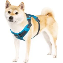 Outward Hound Boulder Adventure Adjustable W/Pockets Dog Harness