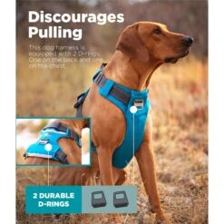 Outward Hound Boulder Adventure Adjustable W/Pockets Dog Harness -PetSafe Kong Shop 766630 PT2. AC SS1800 V1675110651
