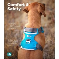 Outward Hound Boulder Adventure Adjustable W/Pockets Dog Harness -PetSafe Kong Shop 766630 PT3. AC SS1800 V1675106945