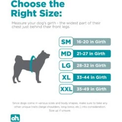 Outward Hound Boulder Adventure Adjustable W/Pockets Dog Harness -PetSafe Kong Shop 766630 PT5. AC SS1800 V1675109472