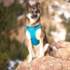 Outward Hound Boulder Adventure Adjustable W/Pockets Dog Harness -PetSafe Kong Shop 766630 PT6. AC SS1800 V1675109472