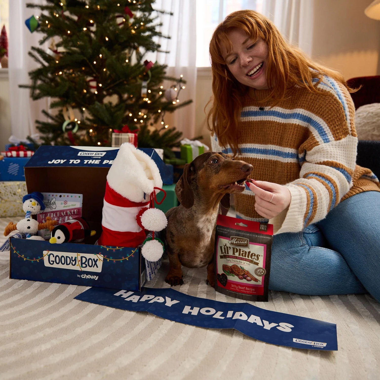 Goody Box Holiday Dog Toys & Treats 3 Goody Box Holiday Dog Toys & Treats - Image 3