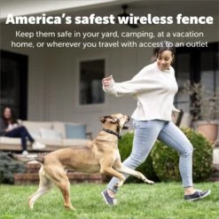 PetSafe Stay+Play Wireless Fence Receiver Collar -PetSafe Kong Shop 77164 PT4. AC SS1800 V1685727056