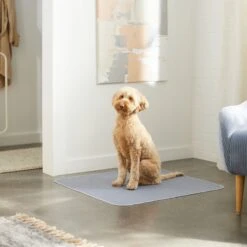 Skout's Honor Dog Pee Pad Refresher Spray, 28-oz Bottle & Frisco Washable Dog Potty Pads -PetSafe Kong Shop 772958 PT8. AC SS1800 V1676752183