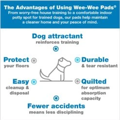 Skout's Honor Dog Pee Pad Refresher Spray, 28-oz Bottle & Four Paws Wee-Wee Superior Performance Dog Pee Pads -PetSafe Kong Shop 772974 PT7. AC SS1800 V1676750336