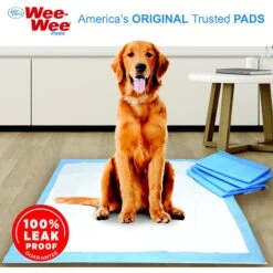 Skout's Honor Dog Pee Pad Refresher Spray, 28-oz Bottle & Four Paws Wee-Wee Superior Performance Dog Pee Pads -PetSafe Kong Shop 772974 PT8. AC SS1800 V1676749878