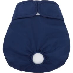 Skout's Honor Laundry Booster Stain & Odor Removal Additive, 32-oz Bottle & Frisco Washable Female Diaper -PetSafe Kong Shop 773022 PT6. AC SS1800 V1676747356