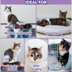 Skout's Honor Professional Strength Urine & Odor Destroyer & Hartz Disposable Cat Diaper -PetSafe Kong Shop 773070 PT8. AC SS1800 V1676752127