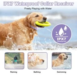 Bousnic Waterproof Rechargeable Electric With Remote Training Dog Collar -PetSafe Kong Shop 773302 PT2. AC SS1800 V1677518681