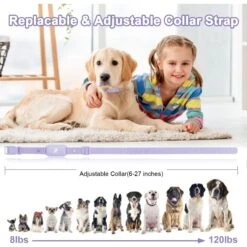 Bousnic Waterproof Rechargeable Electric With Remote Training Dog Collar -PetSafe Kong Shop 773302 PT5. AC SS1800 V1677518624