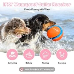 Bousnic Waterproof Rechargeable Long Remote Range Dog Shock Collar -PetSafe Kong Shop 773326 PT2. AC SS1800 V1677522017