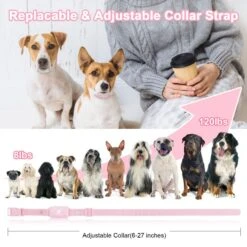 Bousnic Waterproof Rechargeable Long Remote Range Dog Shock Collar -PetSafe Kong Shop 773326 PT5. AC SS1800 V1677522019