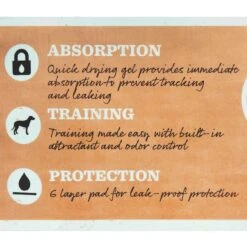 Dr. Pol 22x22-in Dog Training Pad, 100 Count -PetSafe Kong Shop 773726 PT4. AC SS1800 V1676915046