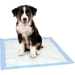 Dr. Pol 22x22-in Dog Training Pad, 100 Count -PetSafe Kong Shop 773726 PT6. AC SS1800 V1676913946