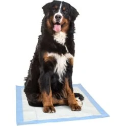 Dr. Pol 28x30-in Fresh Scent Dog Training Pad -PetSafe Kong Shop 773750 PT3. AC SS1800 V1676913833