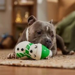 Frisco Holiday Snowman Latex Squeaky Dog Toy -PetSafe Kong Shop 773870 PT3. AC SS1800 V1695044328