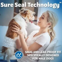 OUT! Disposable Male Dog Wraps & Fruitables Pumpkin & Blueberry Flavor Dog Treats -PetSafe Kong Shop 774702 PT4. AC SS1800 V1676391695