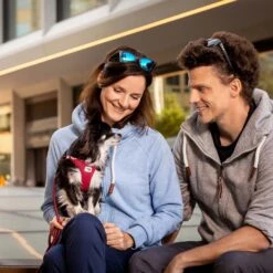 Curli Clasp Vest Air-Mesh Dog Harness 12 Curli Clasp Vest Air-Mesh Dog Harness -PetSafe Kong Shop 775758 PT3. AC SS1800 V1677857922