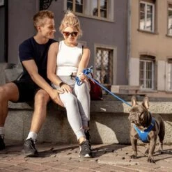 Curli Stretch Comfort Dog Leash -PetSafe Kong Shop 776006 PT2. AC SS1800 V1677788433