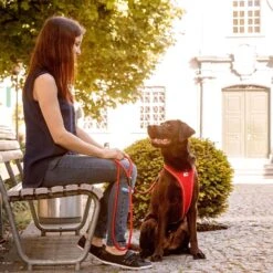 Curli Stretch Comfort Dog Leash -PetSafe Kong Shop 776006 PT6. AC SS1800 V1677797238