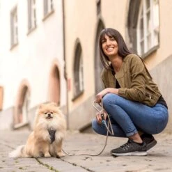 Curli Stretch Comfort Dog Leash -PetSafe Kong Shop 776006 PT7. AC SS1800 V1677951181