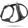 Curli Magnetic Belka Comfort Dog Harness, Black