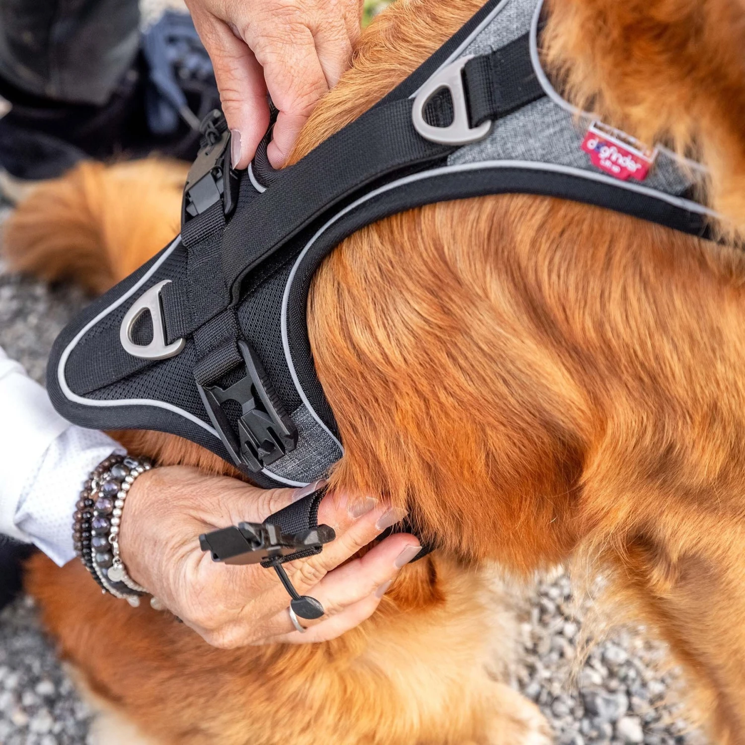 Curli Magnetic Belka Comfort Dog Harness, Black 5 Curli Magnetic Belka Comfort Dog Harness, Black - Image 5