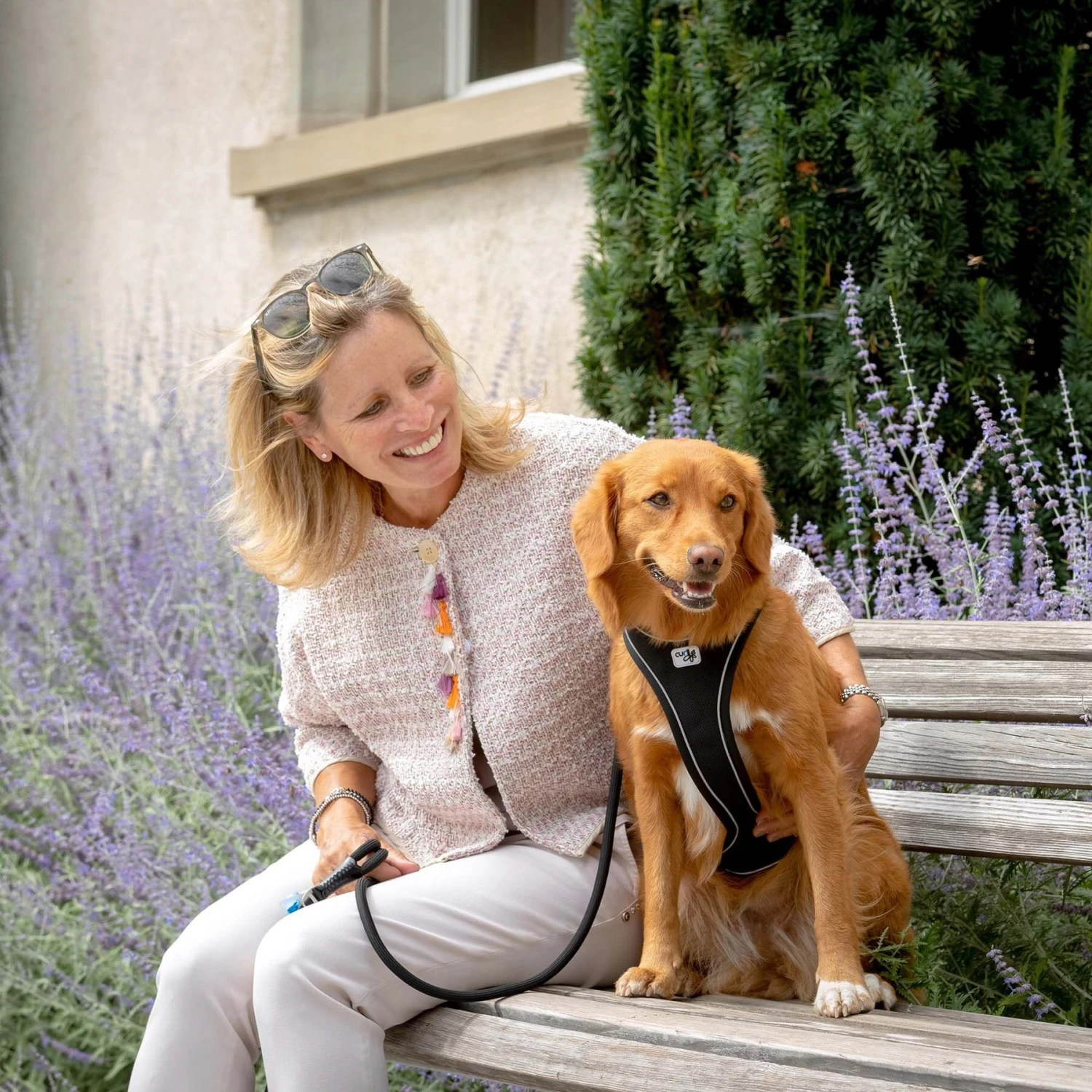 Curli Magnetic Belka Comfort Dog Harness, Black 7 Curli Magnetic Belka Comfort Dog Harness, Black - Image 7