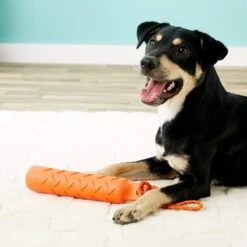 KONG Training Dummy For Dogs 9 KONG Training Dummy For Dogs -PetSafe Kong Shop 77679 PT8. AC SS1800 V1507035640