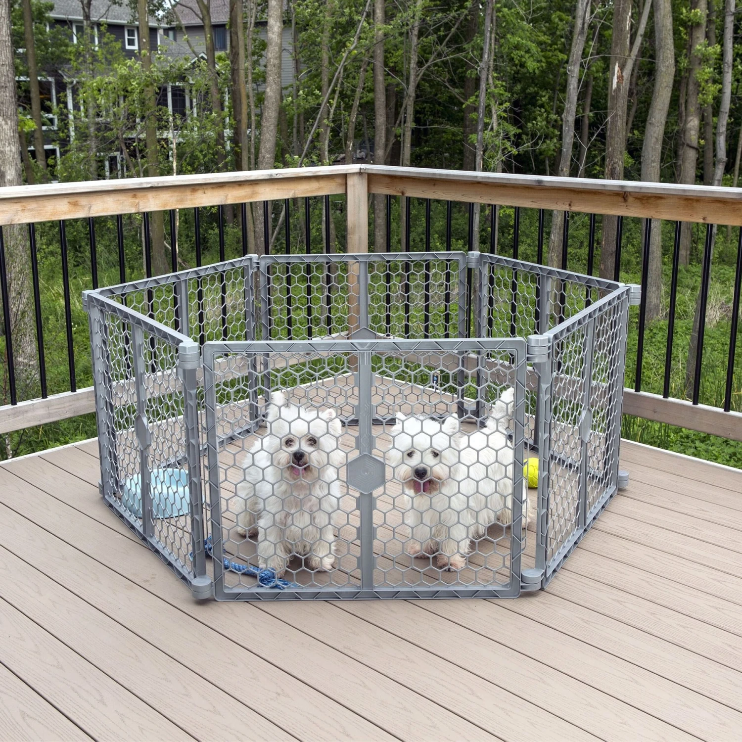 Carlson Pet Products Dog Gate, Gray, Large 4 Carlson Pet Products Dog Gate, Gray, Large - Image 4