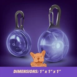 Ruff 'N Ruffus Tangle-Free Retractable Dog Leash & Bonus Contents 12 Ruff 'N Ruffus Tangle-Free Retractable Dog Leash & Bonus Contents -PetSafe Kong Shop 778638 PT4. AC SS1800 V1678466577