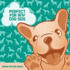 Ruff 'N Ruffus Tangle-Free Retractable Dog Leash & Bonus Contents, Aqua -PetSafe Kong Shop 778646 PT6. AC SS1800 V1678467885