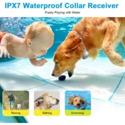 Bousnic 1000-ft Remote Waterproof Rechargeable Shock Training Dog Collar Kit, Yellow -PetSafe Kong Shop 778678 PT2. AC SS1800 V1678389462