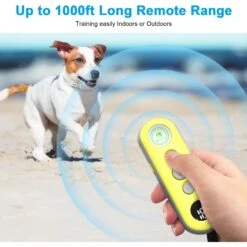 Bousnic 1000-ft Remote Waterproof Rechargeable Shock Training Dog Collar Kit, Yellow -PetSafe Kong Shop 778678 PT3. AC SS1800 V1678396317