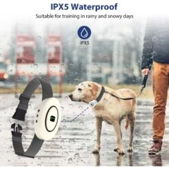 Petdiary B360 Rechargeable Static Dog Bark Collar, White, Small -PetSafe Kong Shop 778806 PT3. AC SS1800 V1680644999