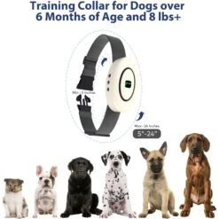 Petdiary B360 Rechargeable Static Dog Bark Collar, White, Small -PetSafe Kong Shop 778806 PT5. AC SS1800 V1680645061