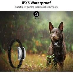 Petdiary 165-S Rechargeable Static Dog Bark Collar, Silver, Small -PetSafe Kong Shop 778822 PT2. AC SS1800 V1680645059