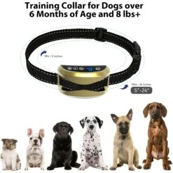 Petdiary 165-G Static Rechargeable Dog Bark Control Collar, Gold, Small -PetSafe Kong Shop 778838 PT5. AC SS1800 V1680645061