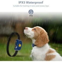 Petdiary B320 Rechargeable Static Dog Bark Collar, Blue, Small -PetSafe Kong Shop 778854 PT3. AC SS1800 V1680644998