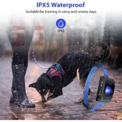 Petdiary B330 Static Rechargeable Dog Bark Collar, Black, Small -PetSafe Kong Shop 778870 PT3. AC SS1800 V1680705713