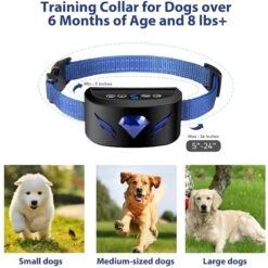 Petdiary B330 Static Rechargeable Dog Bark Collar, Black, Small -PetSafe Kong Shop 778870 PT4. AC SS1800 V1680645059