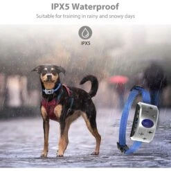 Petdiary B340 Rechargeable Dog Bark Collar, Small 11 Petdiary B340 Rechargeable Dog Bark Collar, Small -PetSafe Kong Shop 778894 PT3. AC SS1800 V1680644637